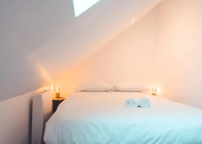 Le Baudelaire, T3 En Duplex * Tours